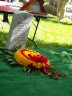 DSCN1316.JPG - 